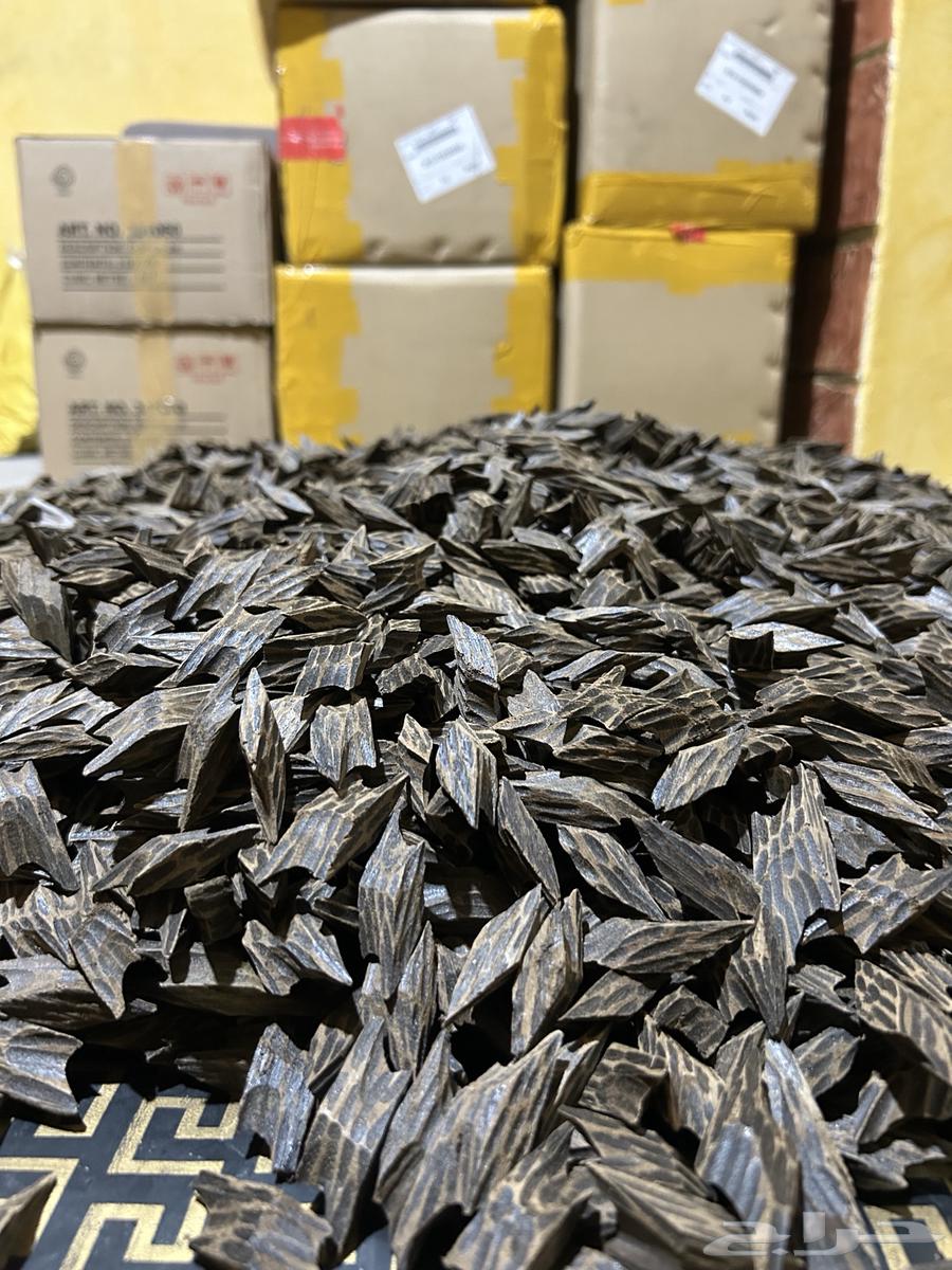 عود تايقر جمله وزوايا64583266022787111