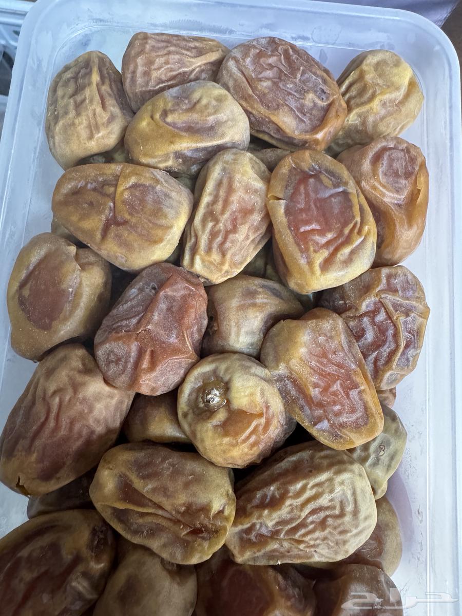 سكري وبرحي انتاج الموسم يوجد توص64590507709441110