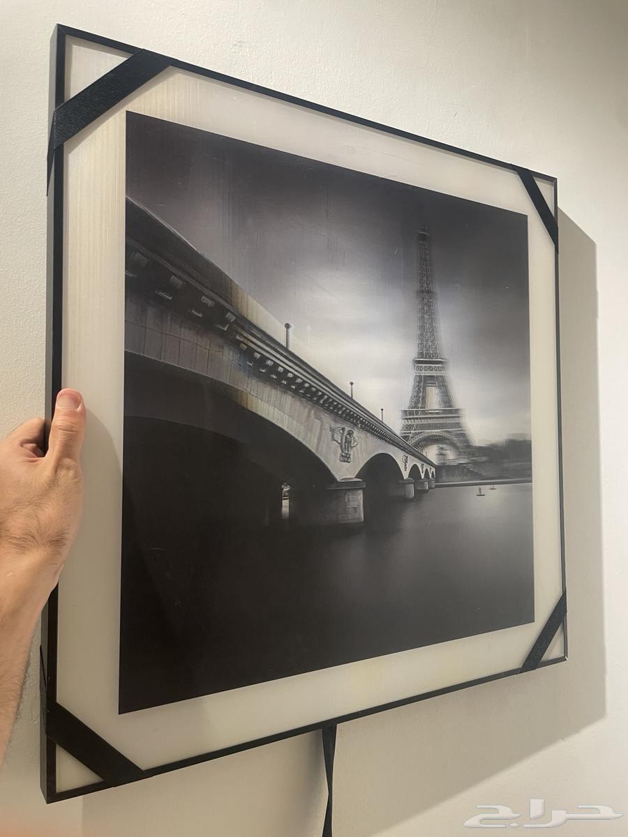 كل اللي موجود عالصوره الحبه ب 2064583682821889112