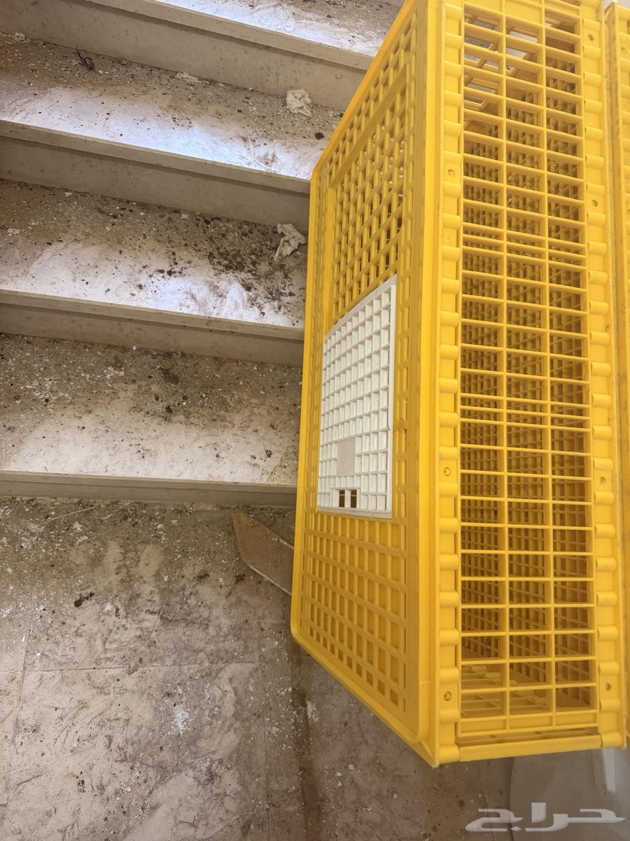 قفص طيور64580977021570111