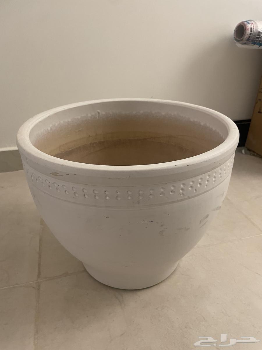 كل اللي موجود عالصوره الحبه ب 2064583682821889114