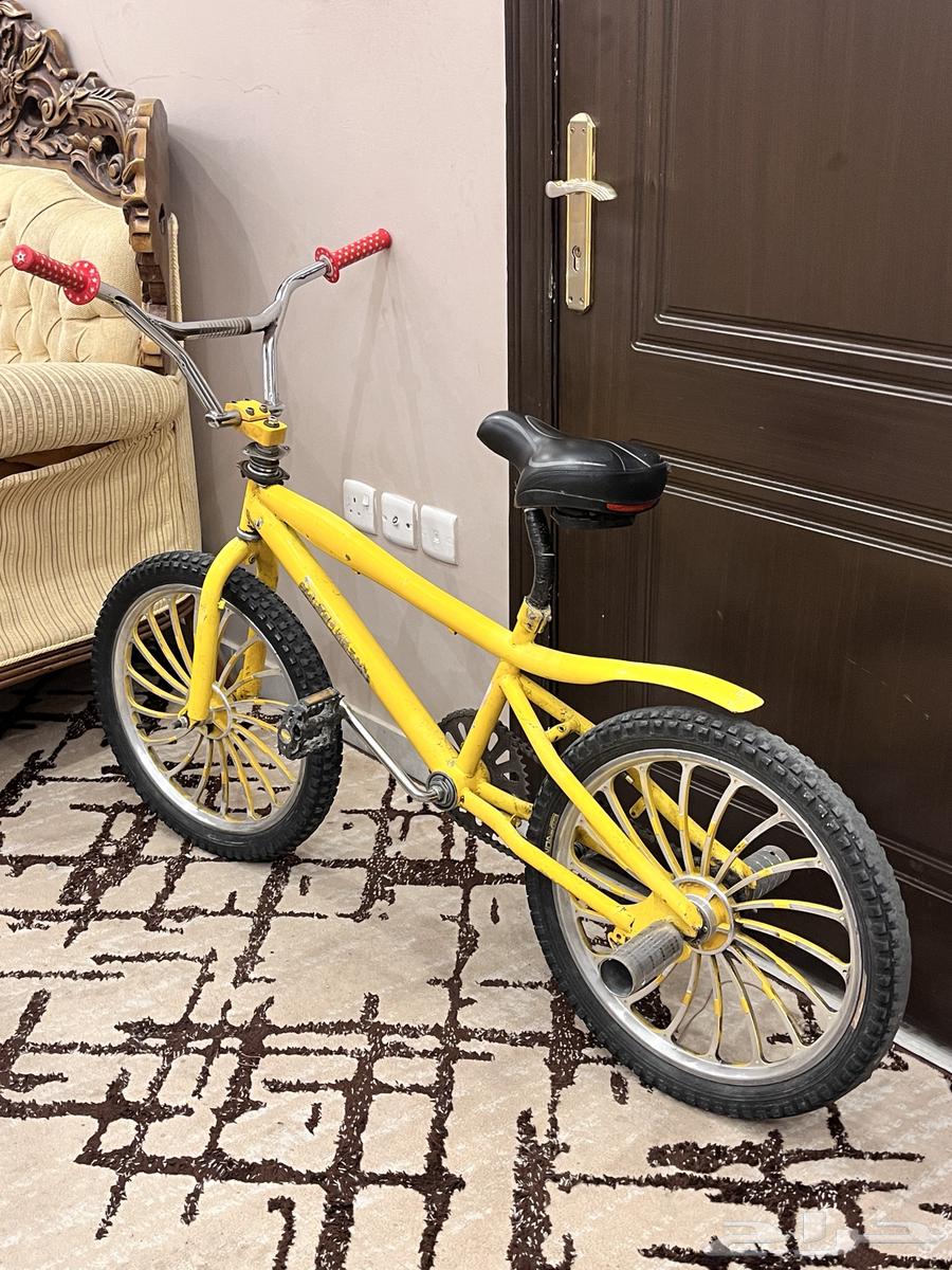 Cobra size 2064586836895361110