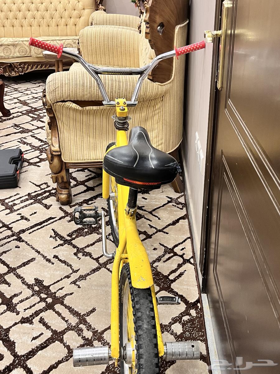 Cobra size 2064586836895361111