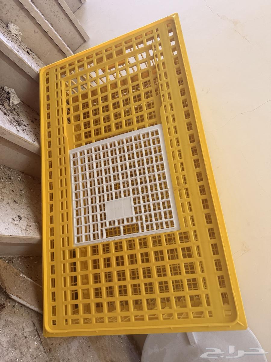 قفص طيور64580977021570112