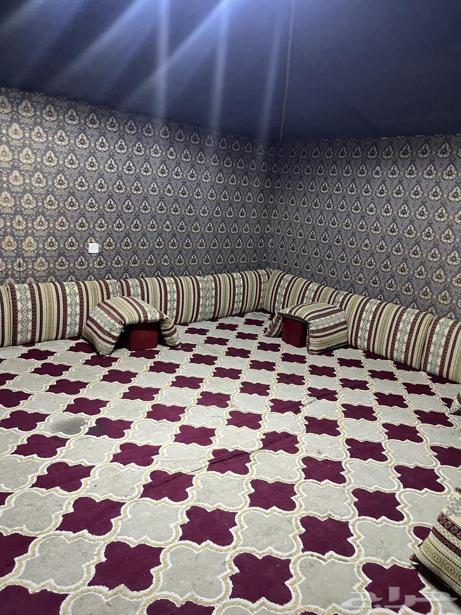 خيمة للبيع على السوم الي جاد يكلمني واتس المساحة 6-664581224231938111