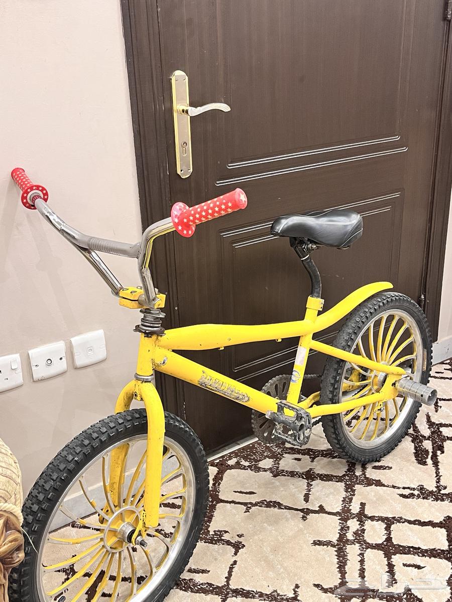 Cobra size 2064586836895361112