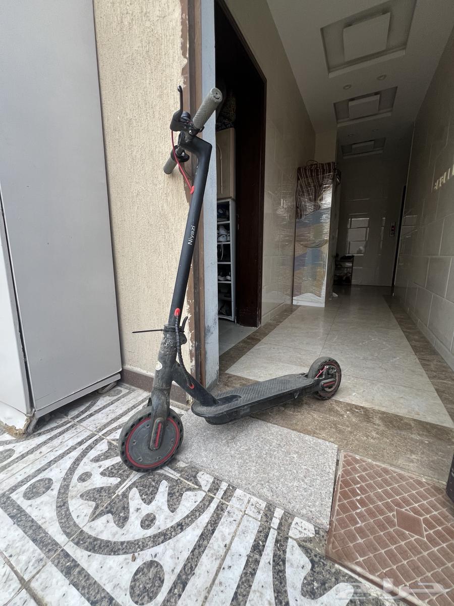 سكوتر وقوف للبيع64584305795971111