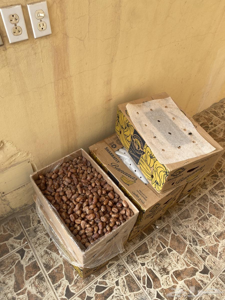 Al-Ahsa Al-Ikhlas Dates64581100628482111