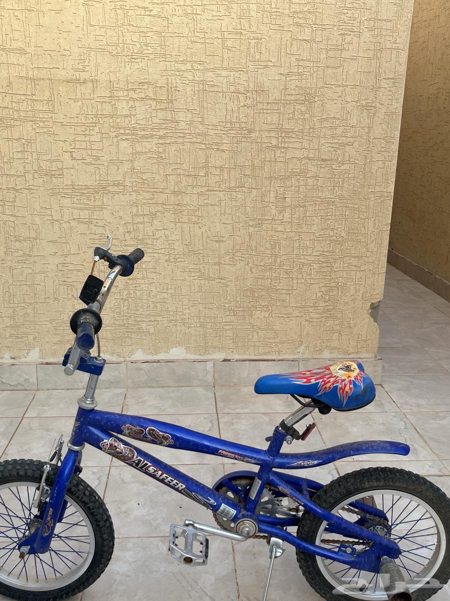 سياكل كوبرا استخدام اسبوعين فقط64584757788931111