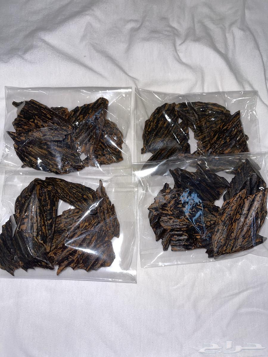 للبيع عود اصلي الازرق كلمنتان64581388582401114