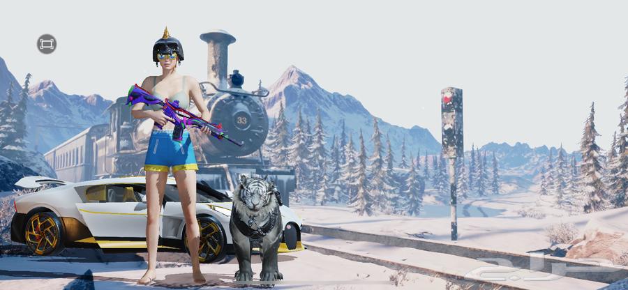 حساب ببجي فخم64586239058306111