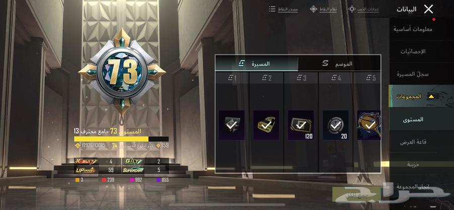 حساب ببجي فخم64586239058306110