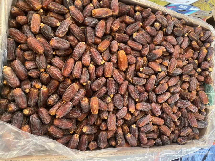 تمور للبيع حق السنة هاذي64582581194882113