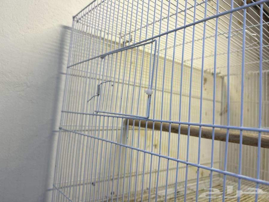 للبيع قفصين 61064574130969601114