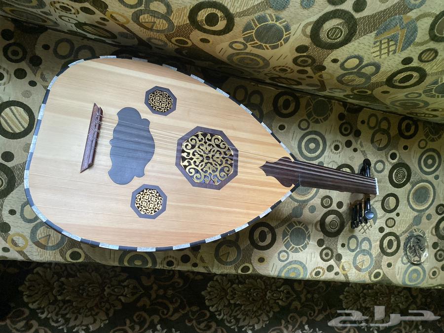 عود للبيع نظيف64582965494658110