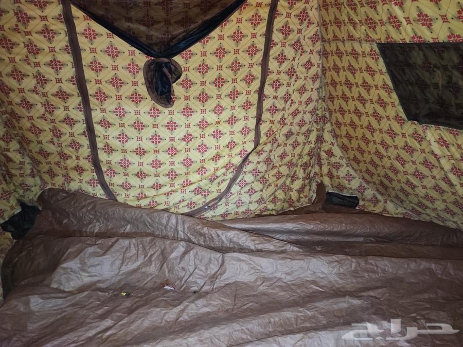 خيمة الشقردية القاضي 3x364588123931779112