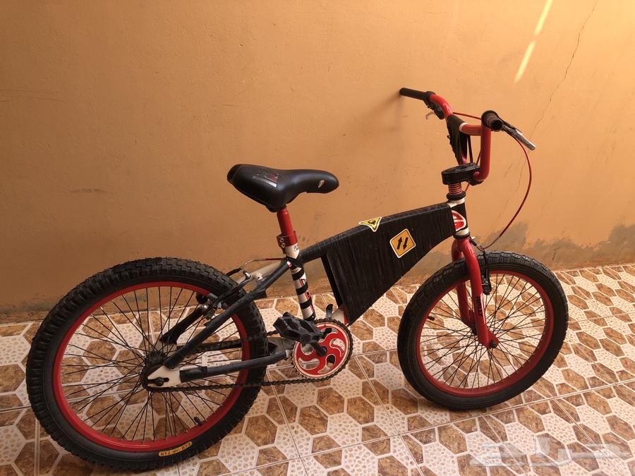 كوبرا رياضي سريع نظيف64579787366019111