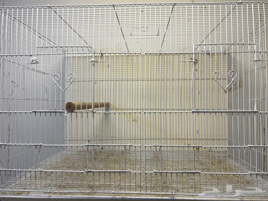 للبيع قفصين 61064574130969601112