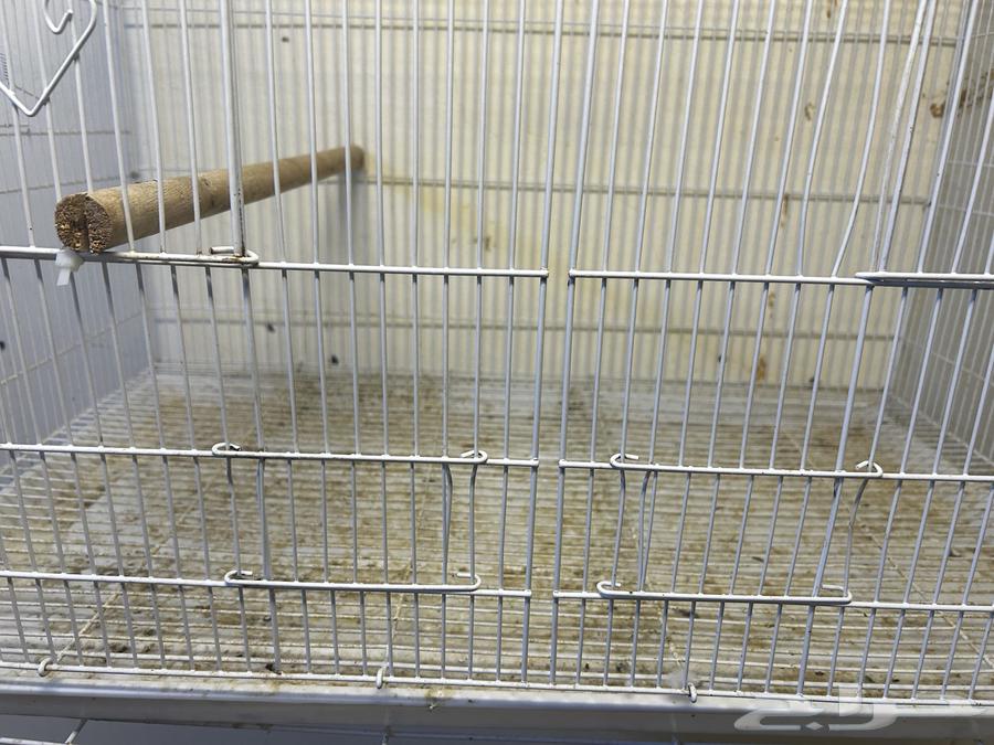 للبيع قفصين 61064574130969601111