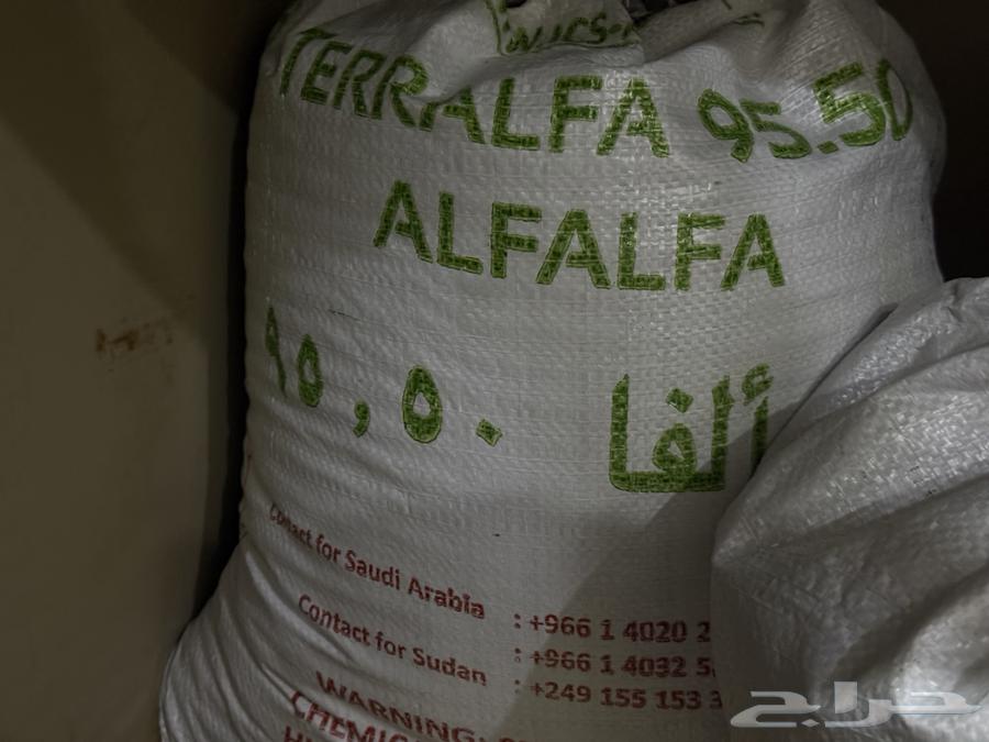 كيس ونص برسيم الفا 95 للبيع64583386657665110