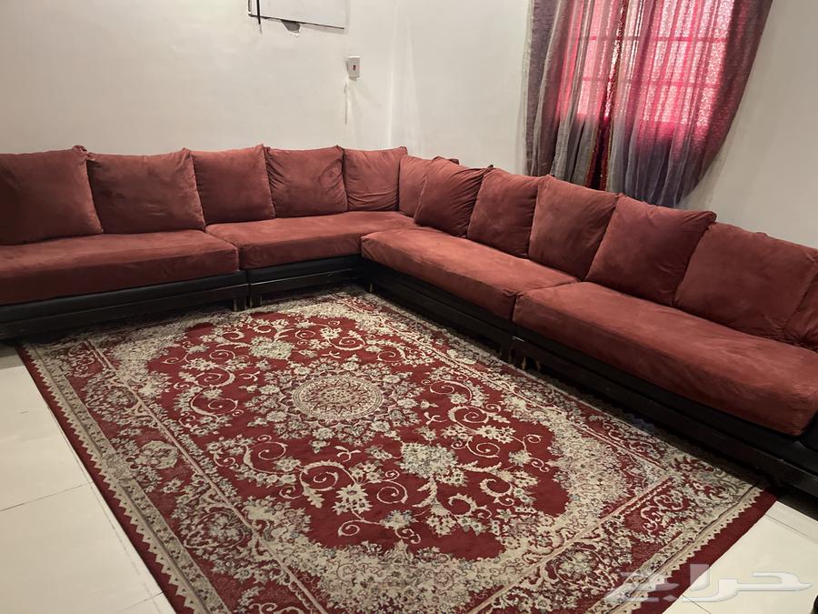 كنب64584206581377110