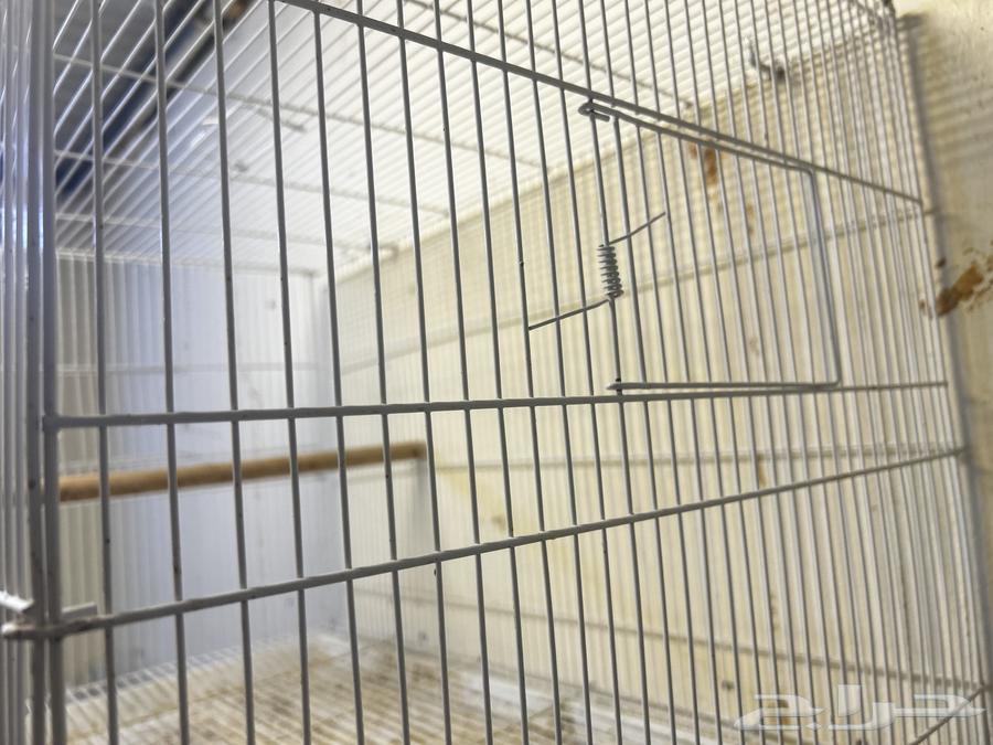 للبيع قفصين 61064574130969601113