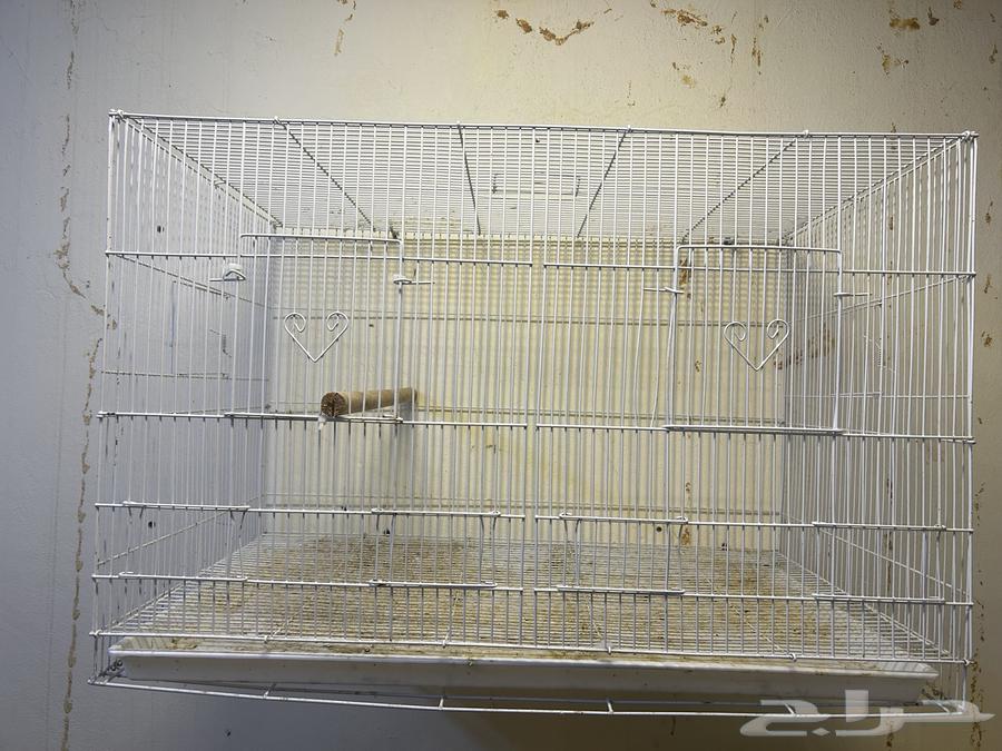 للبيع قفصين 61064574130969601110