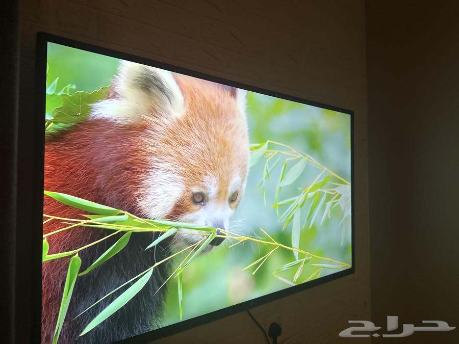 شاشه50 بوصه 4K دانسات64561559989507112