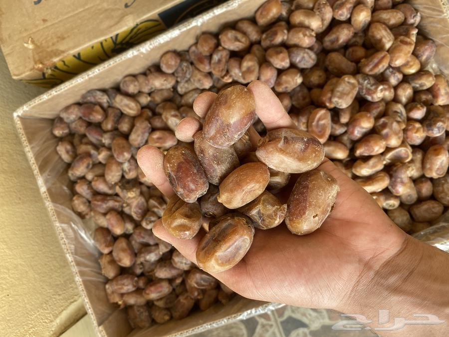 Al-Ahsa Al-Ikhlas Dates64581100628482112