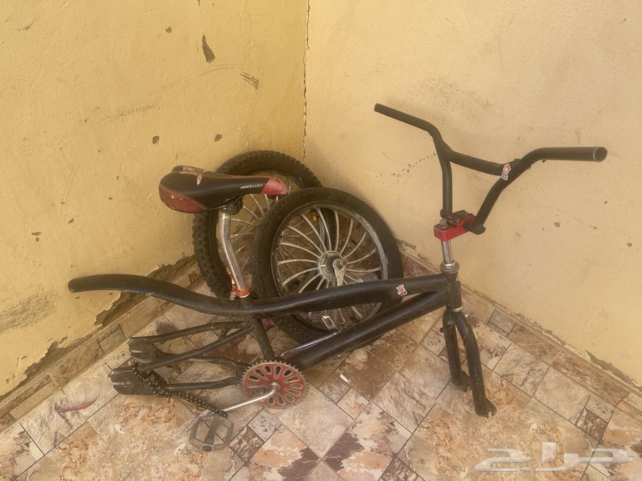 سيكل كوبرا مقاس 20 للبيع ب 90 أريال والله صادق64584926001794110