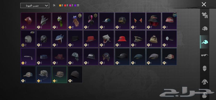 حساب ببجي للبيع64584743688834113