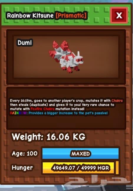 Red Rainbow Catsoni64582357666946112