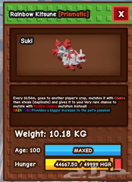 Red Rainbow Catsoni64582357666946110