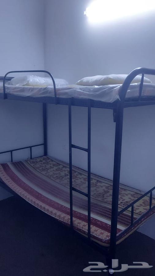 للبيع عدد 30 سرير دبل استخدام شهرين64585266694401110