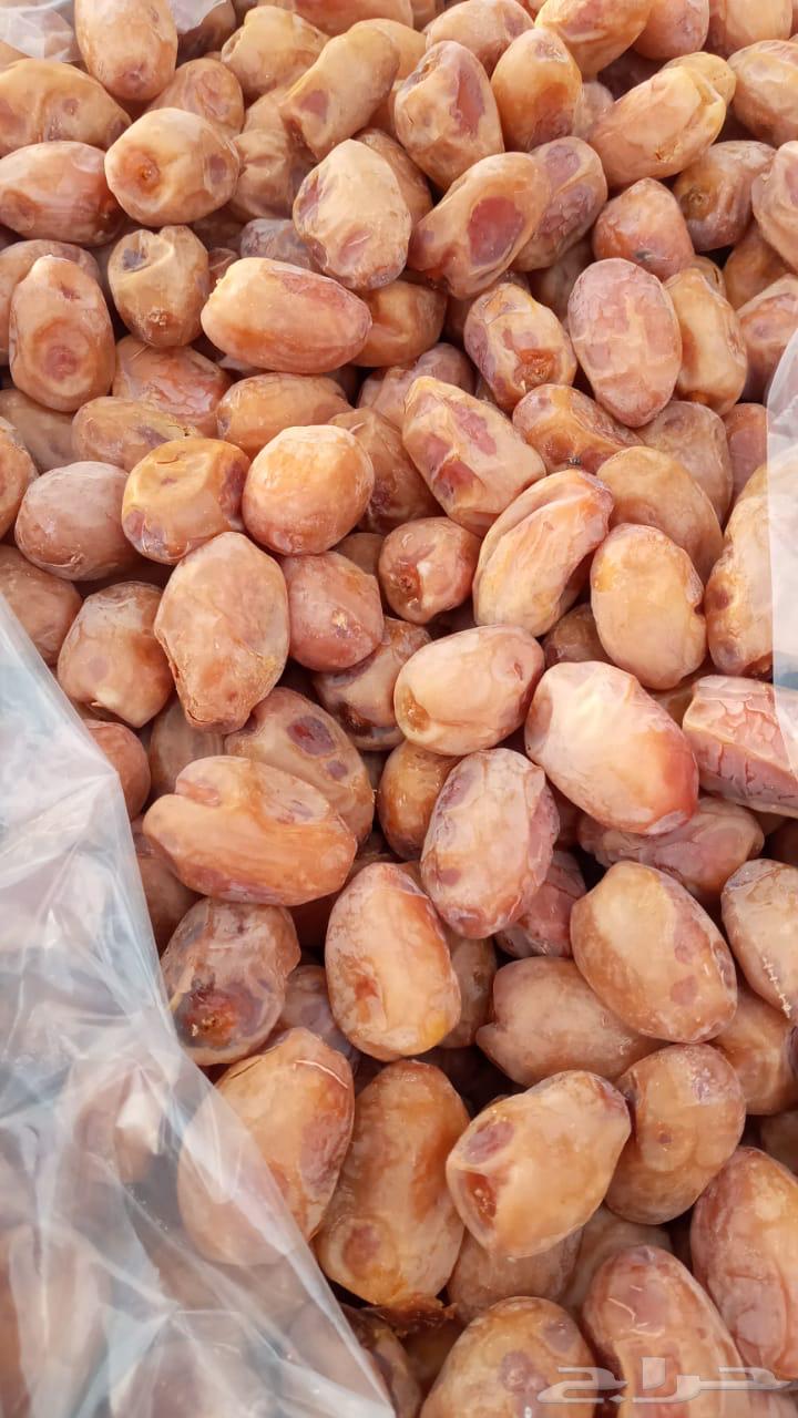 تمر خلاص شقراء64581938592385110