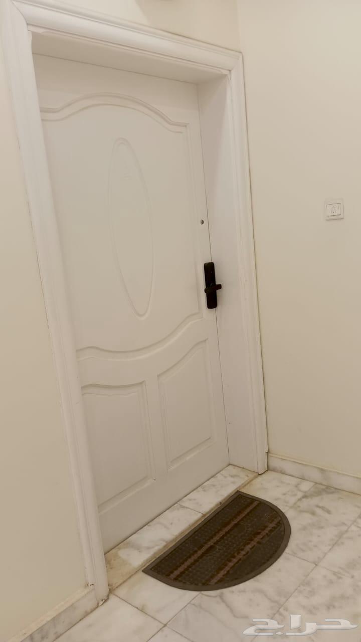 ابواب خشب سويدي درجة رابعة نظيفة64582117936769110