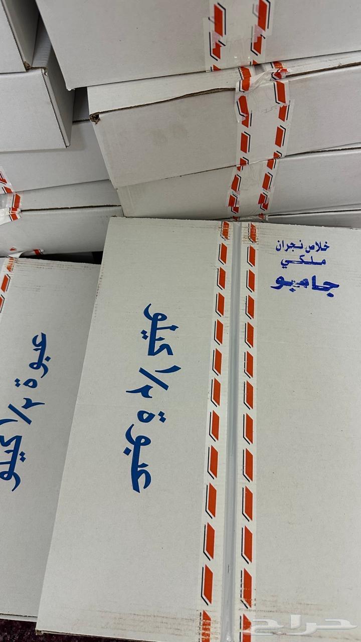 تمر اخلاص نجران عضوي للبيع64584149355265111