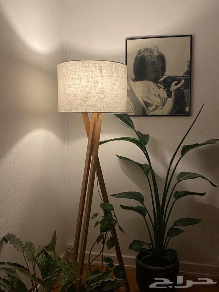 مطلوب ابجورة ركنية كبيرة مستعملة   اللي عنده يعرض بالصور64580308245378110