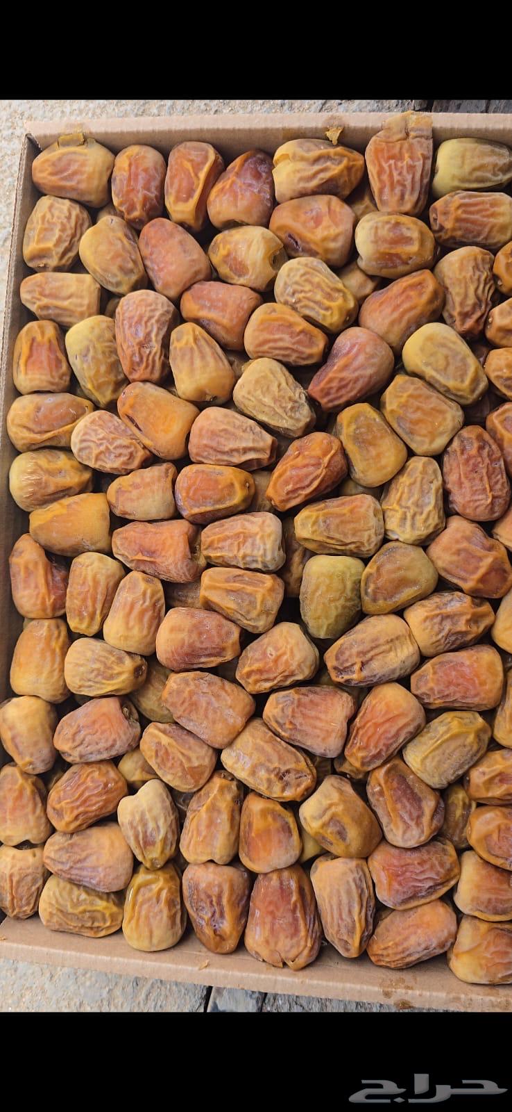 للبيع جمله سكري مفتل القصيم64588011804803110