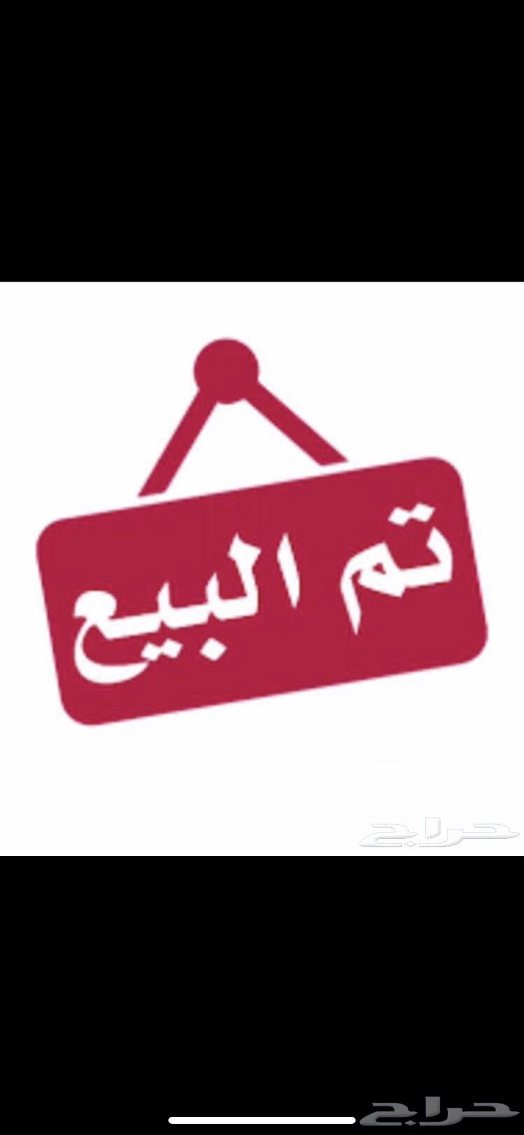 للبيع عنز كفو معها بنتها64552392090626112