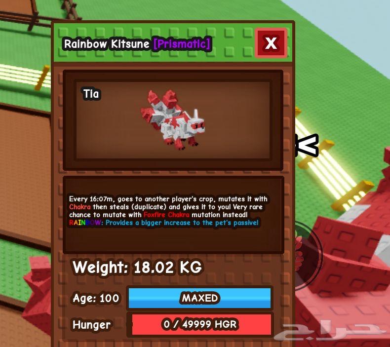 الجديد وصل حيوان كيتسوني عمره 100 روبلوكس64586364470531110