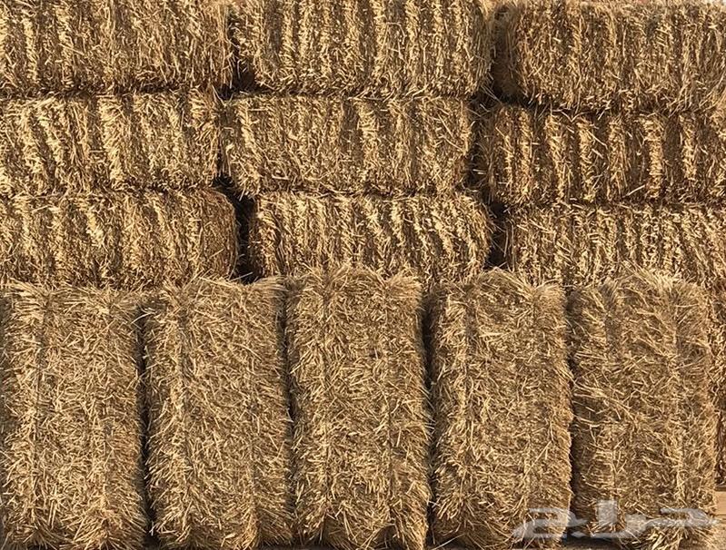 تبن بر 90 8564582103748867111