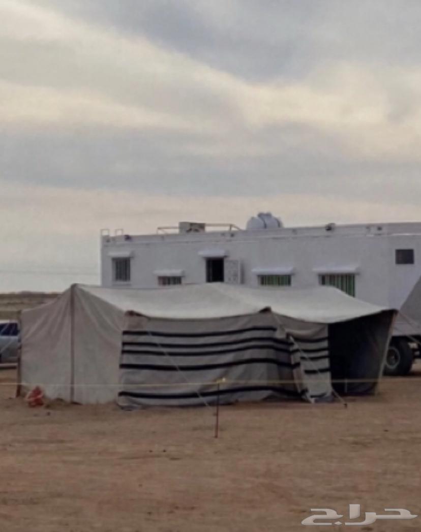 بيت شعر ابيض 8 في 5 نظيف64584518091266110