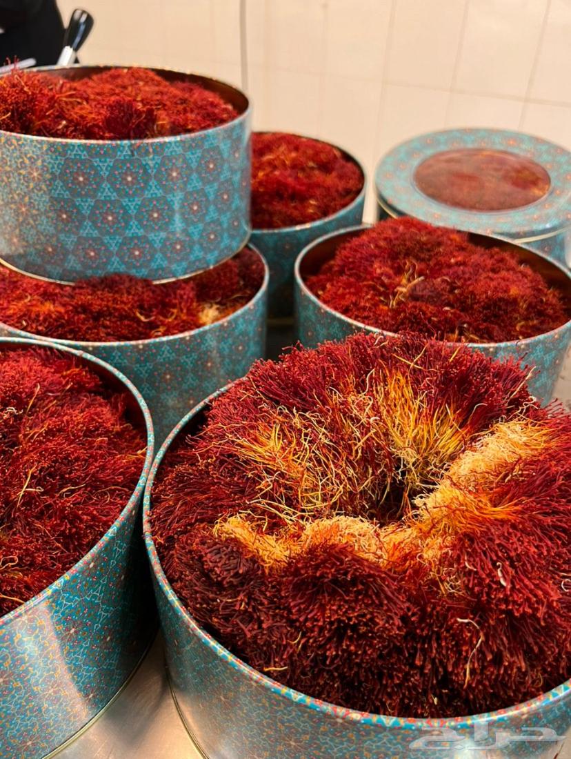 زعفران أبو شيبة64582725298563110