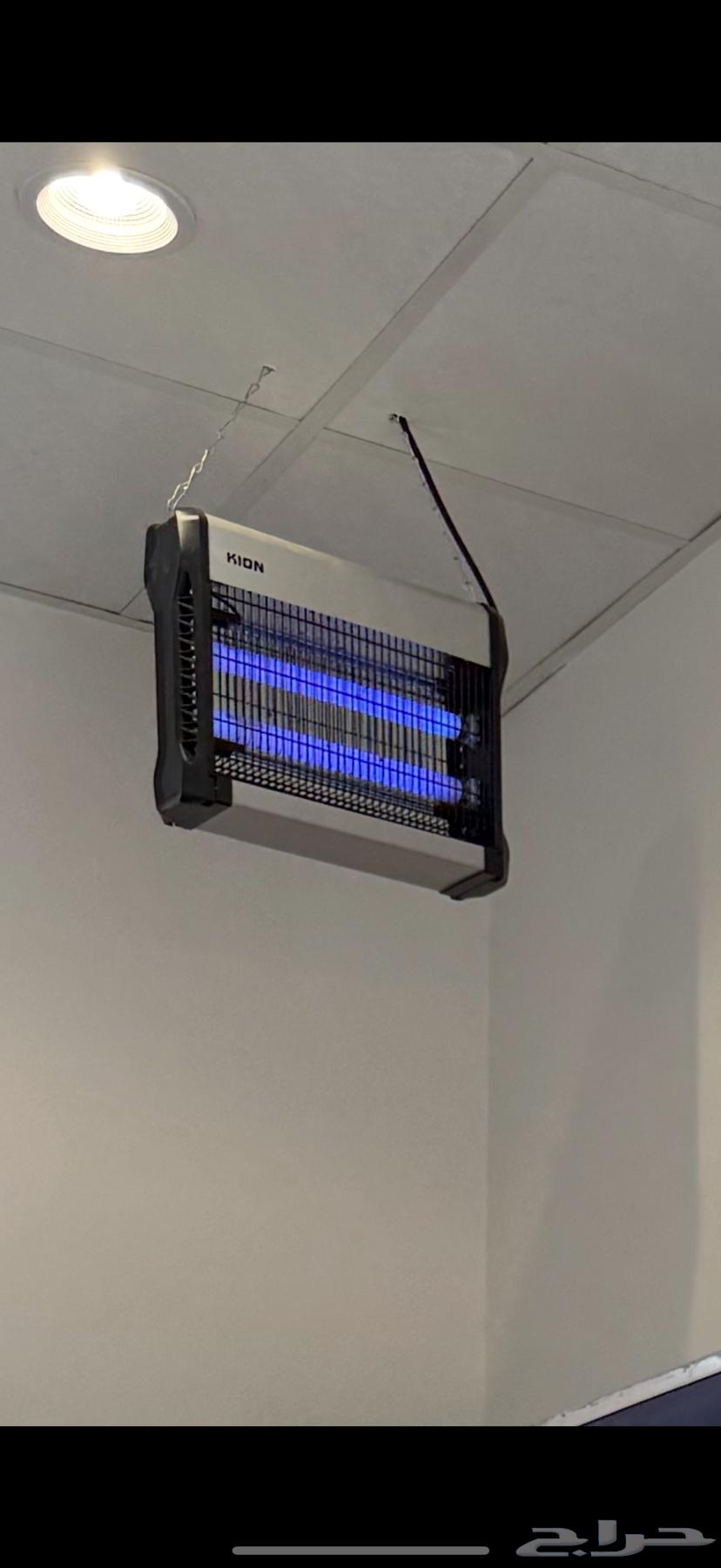 صايد حشرات للبيع64582581210627110