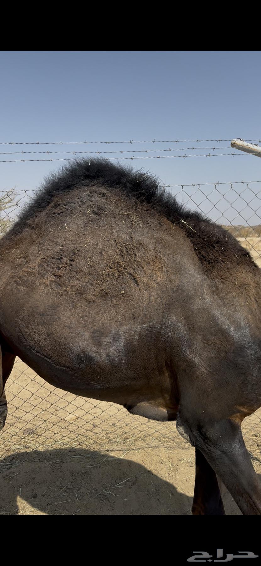 Unwound spool64586251651074114