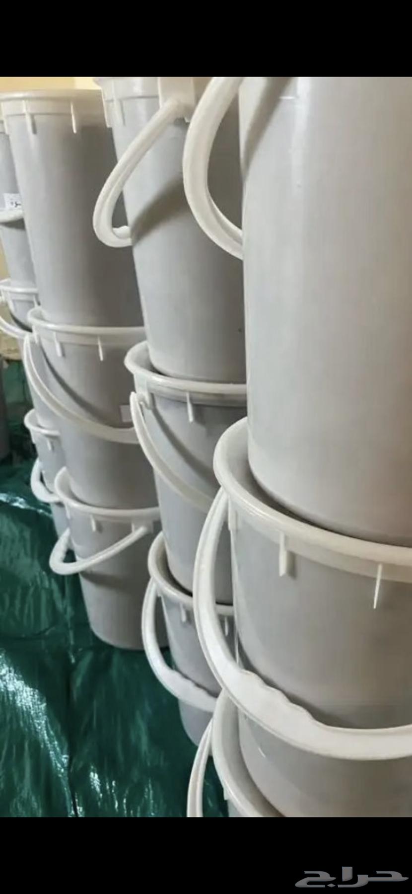 تمر دقله الذهبيه فاخره64584982179457112