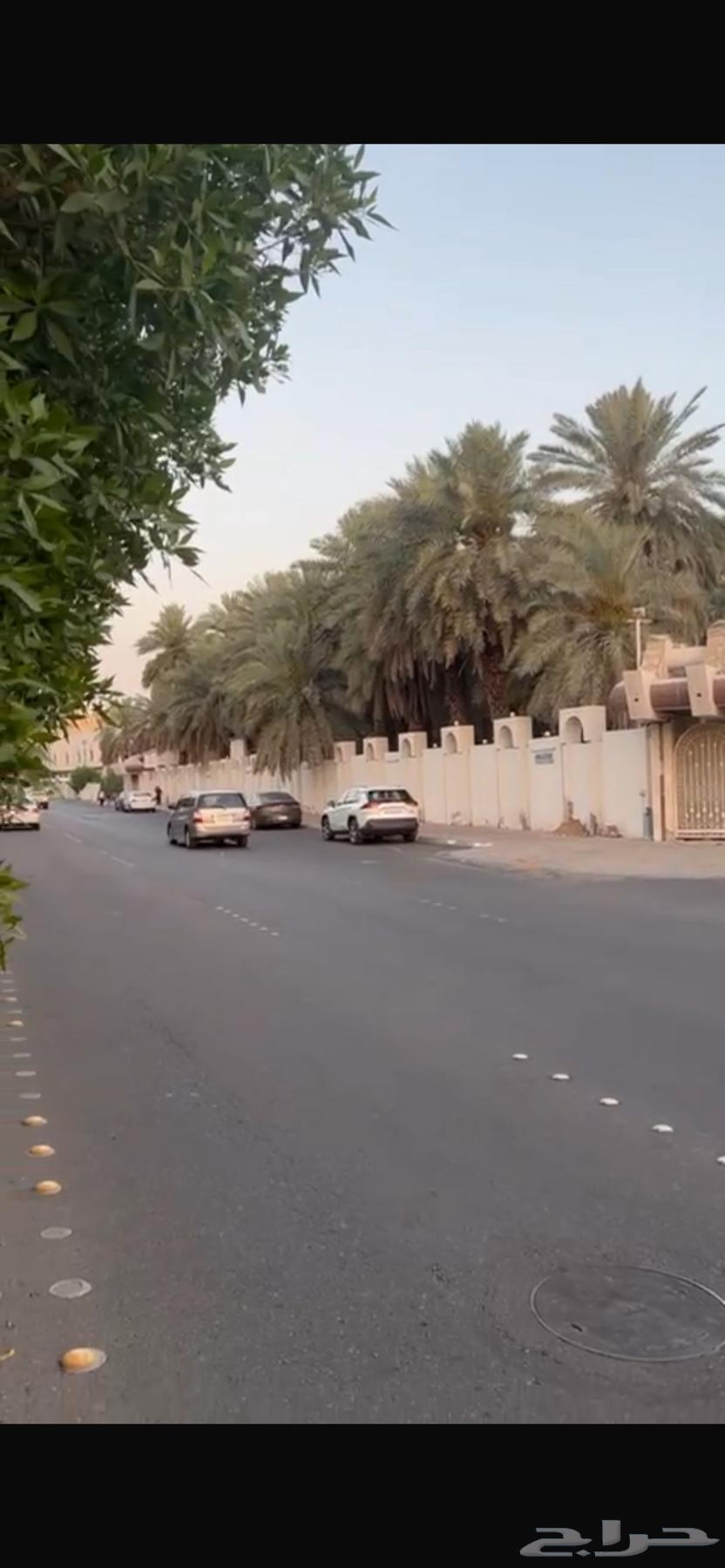 قصر العوالي64583443522178112