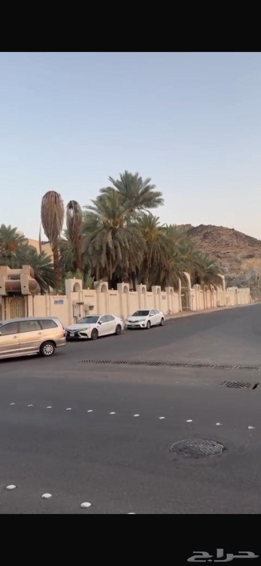 قصر العوالي64583443522178110