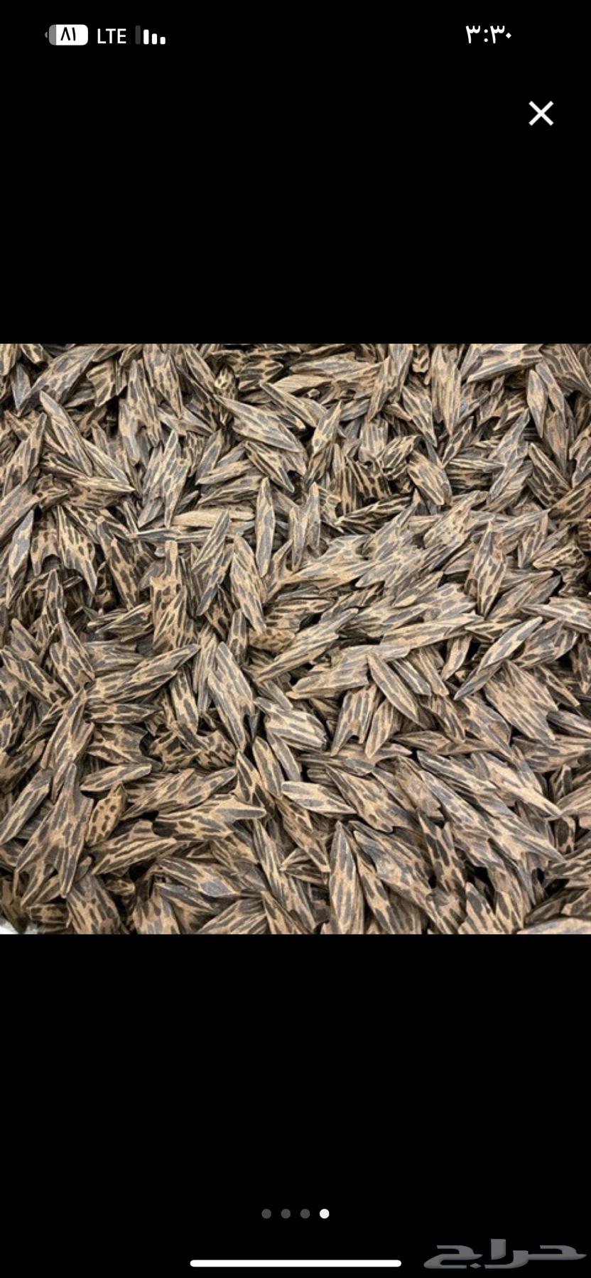 عود تايقر جمله وزوايا64583266022787110